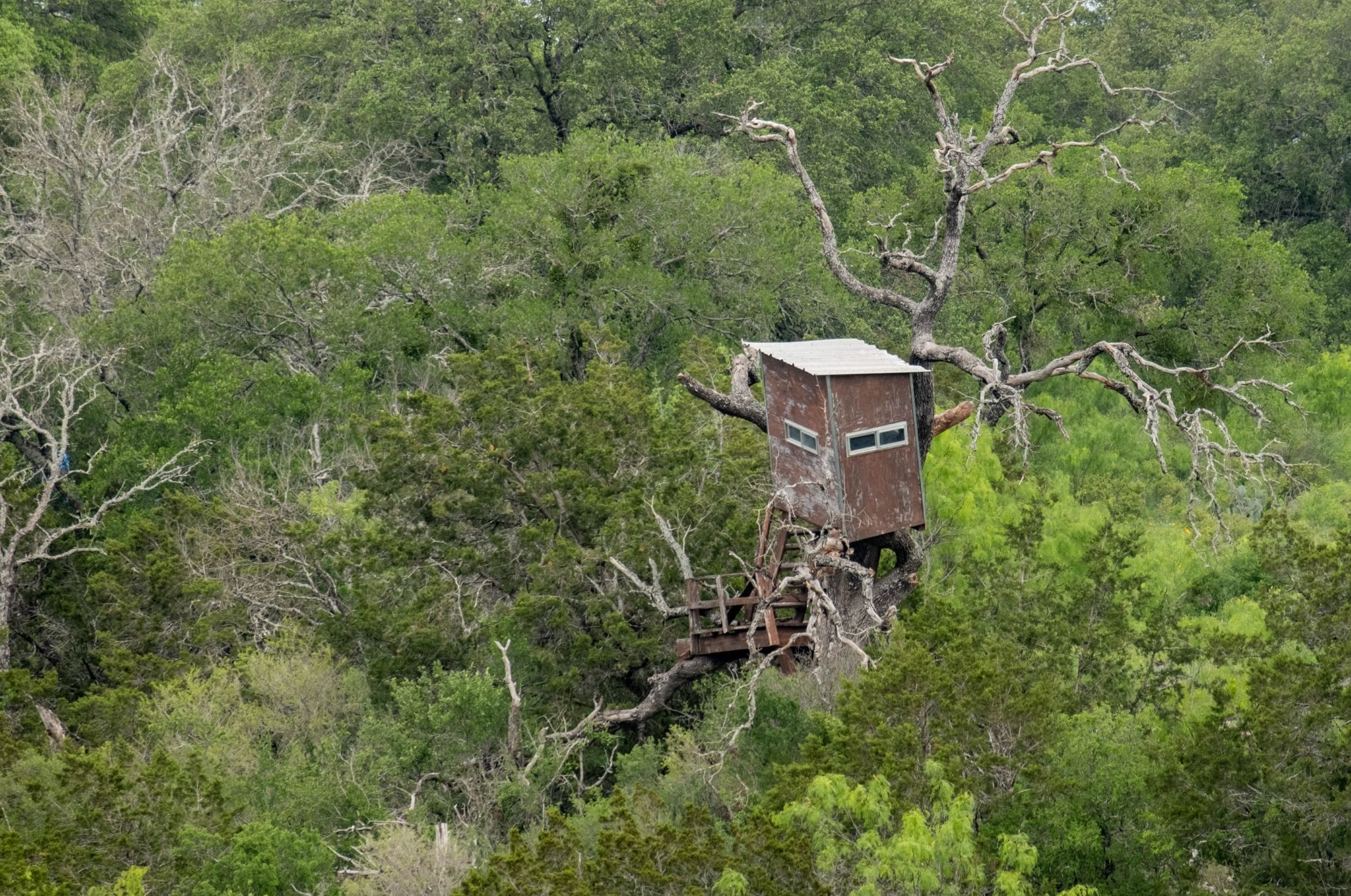 Balcones Springes TX 159